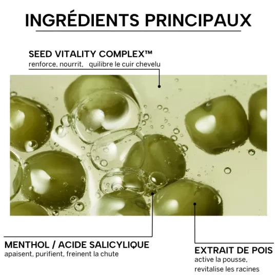 WHAMISA SHAMPOING CUIR CHEVELU AUX PETITS POIS BIO FERMENTÉS - 450 ML